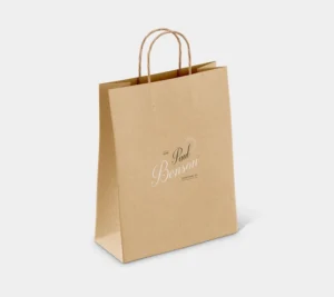 kraft bag 4